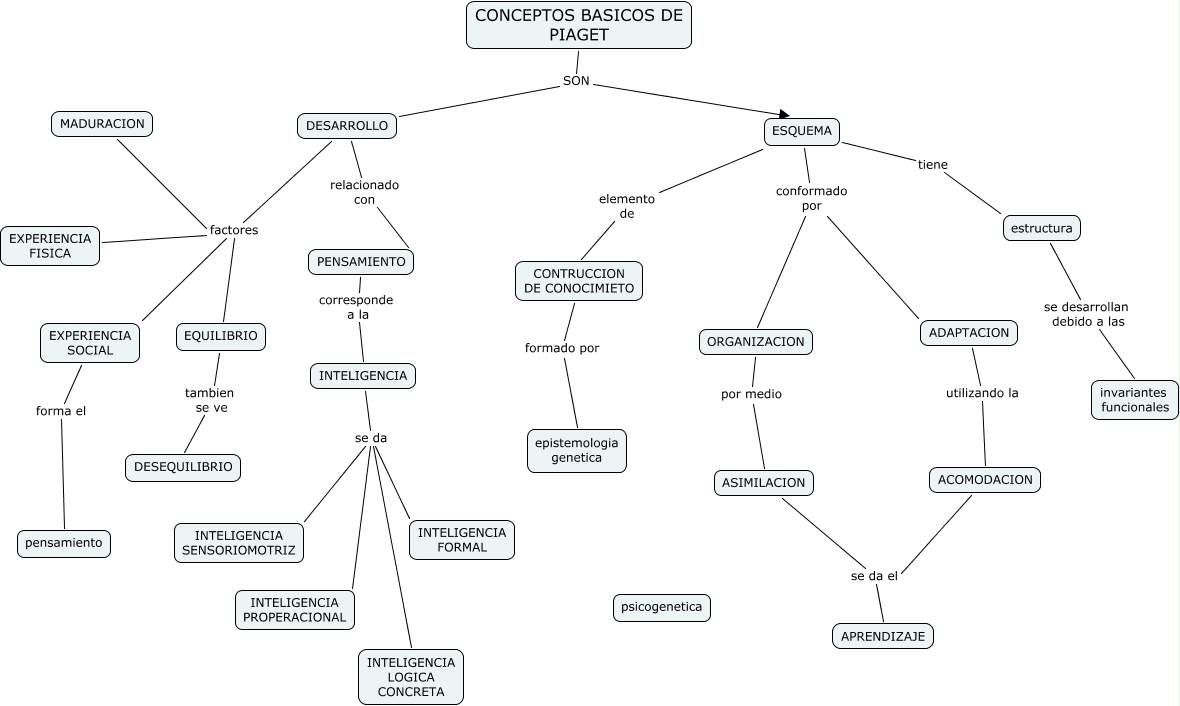 conceptos basicos de piaget leito nombre mio